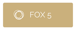 icono del bugaboo fox5